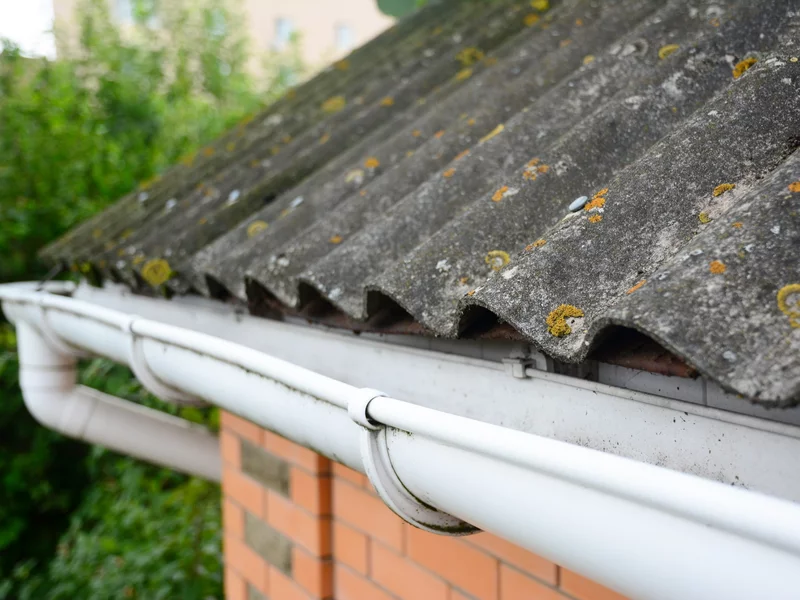 31 stycznia najważniejszy dla właścicieli domów. Kary mogą zaboleć