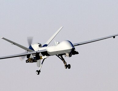 Miniatura: Amerykańskie drony będą latać po Polsce....