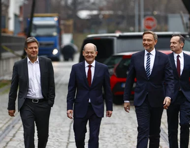 Miniatura: Niemcy mają pomysł na uniezależnienie się...