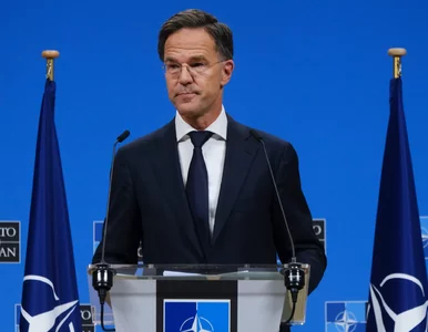 Miniatura: Bezprecedensowy krok NATO. Państwa...
