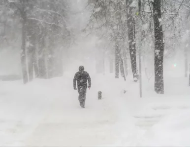 Miniatura: Ci Polacy otrzymali rachunki grozy....