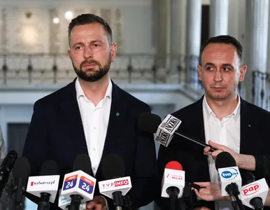 Miniatura: PSL chce zamrożenia cen prądu i gazu dla...