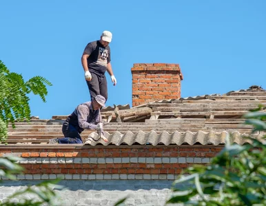 Miniatura: Ostateczny termin już blisko. Rolnicy mogą...