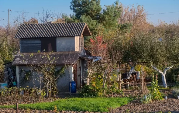 Miniatura: Postawiłeś szopę za blisko granicy? Szykuj...