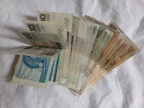 Miniatura: Polacy mało zainteresowani oszczędzaniem w...