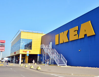 Miniatura: IKEA wróci do Rosji? Jest komentarz koncernu