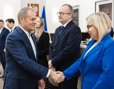 Miniatura: Osłony energetyczne na przyszły rok....