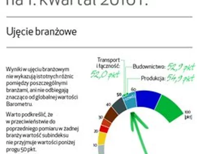 Miniatura: Nie widać optymizmu w wielu gałęziach...