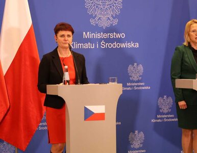 Miniatura: Polska i Czechy ustaliły warunki...
