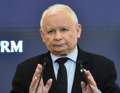 Miniatura: Jarosław Kaczyński wskazał winnego porażki...