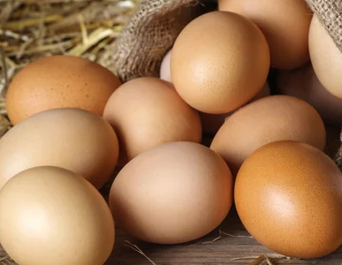 Miniatura: Indeks jajeczny. Zestawili wynagrodzenia z...