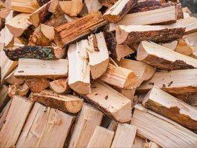 Miniatura: Drewno na opał coraz droższe. Te ceny mogą...