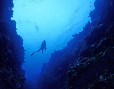 Miniatura: Przypadkowe odkrycie nurków. Trop prowadzi...