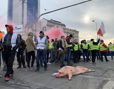 Miniatura: Rolnicy rozpoczęli ogólnopolski protest....