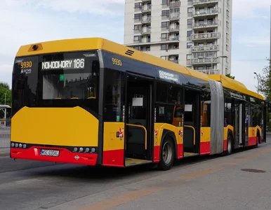 Miniatura: Gapowicze autobusowi trafią do rejestru...