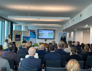 Miniatura: Doing Business in Brazil – Brazylia bliżej...