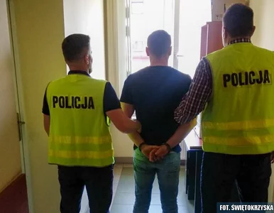 Miniatura: Umiejętnie zacierał ślady. Informatyk...
