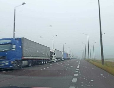 Miniatura: Białoruś zakazuje wjazdu ciężarówek z Unii...