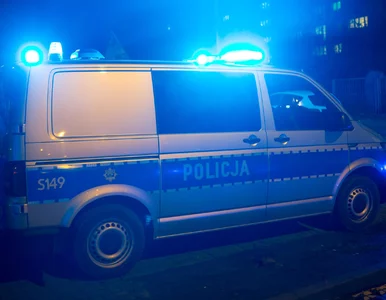Miniatura: Policja rozpracowała proceder na ogromną...