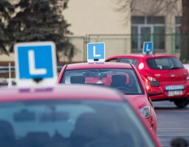 Miniatura: Punkty karne można zredukować przez...