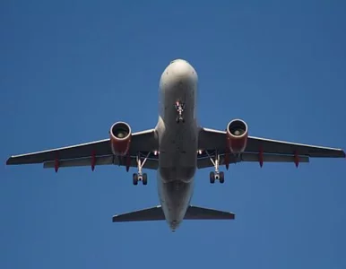 Miniatura: Rosyjskie samoloty na polskim niebie....