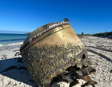 Miniatura: Plażowicze odkryli dziwny obiekt. Czy...