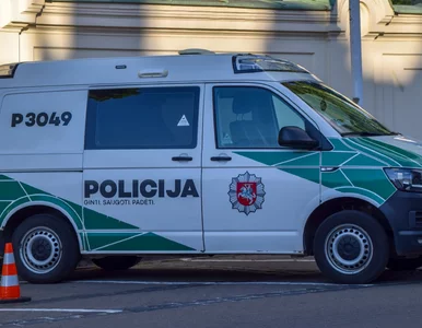 Miniatura: Niepokojące incydenty w trzech krajach...