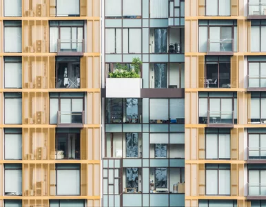 Miniatura: Ponad milion Polaków deklaruje przychody z...