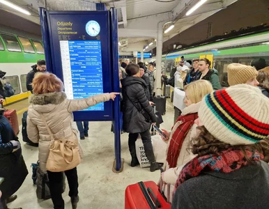 Miniatura: Pasażerowie wypunktowali PKP i koleje...