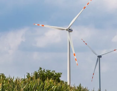 Miniatura: Wichury napędzają elektrownie wiatrowe....