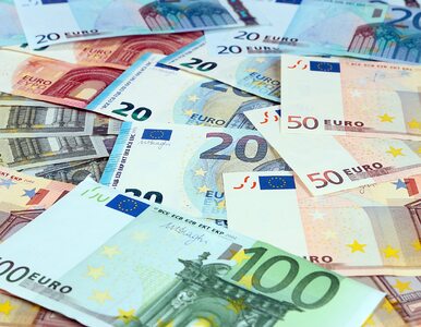 Miniatura: Ponad 4 mld euro dopłat z UE wydanych...