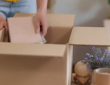 Miniatura: Polacy regularnie kupują używane produkty....