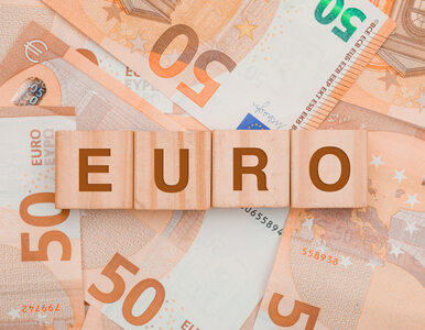 Miniatura: Kurs euro – co warto o nim wiedzieć?