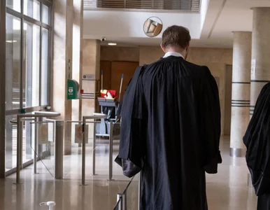 Miniatura: Rząd szykuje szybkie zmiany. Wynagrodzenia...