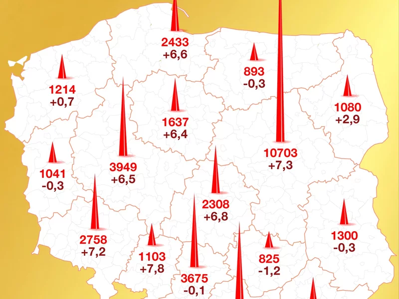 Gdzie żyją polscy milionerzy? Fiskus pokazał liczby. Jeden region zaskakuje