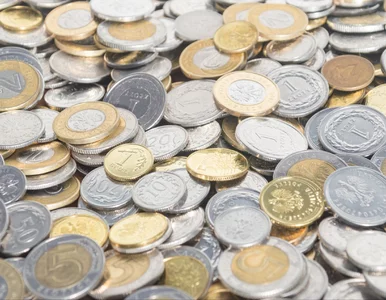 Miniatura: Pieniądz robi pieniądz. Na sprzedaży monet...