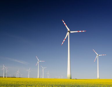 Europejski bank wraca do finansowania farm wiatrowych w Polsce