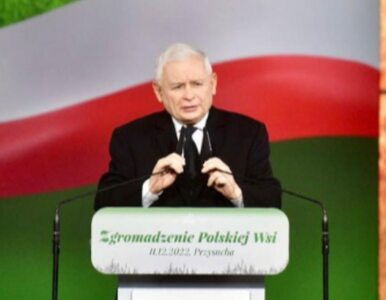 Jarosław Kaczyński obiecuje „okiełznanie” problemów rolników. „Wiemy o...