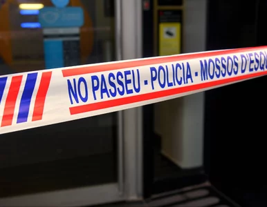 Miniatura: Zagadkowa śmierć dwóch rosyjskich...