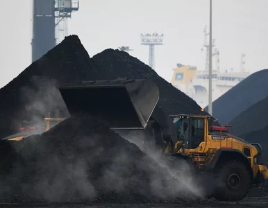 Miniatura: Groźba blackoutu to prolog, kryzys...