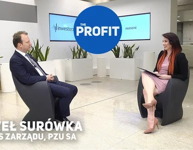 Miniatura: Nowa strategia Grupy PZU do 2020 roku