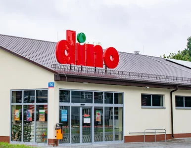 Miniatura: Dino robi ukłon w stronę kawoszy. Na tej...