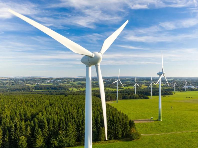 Miniatura: Zielona energia czy kosztowny kompromis?...