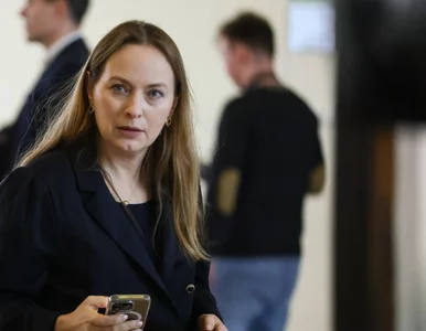 Miniatura: Minister krytykuje rządowy program....