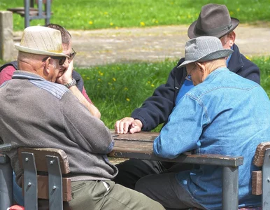 Miniatura: Tak wielu ataków na seniorów jeszcze nie...