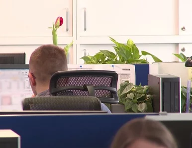 Miniatura: Dlaczego wracamy do byłych pracodawców
