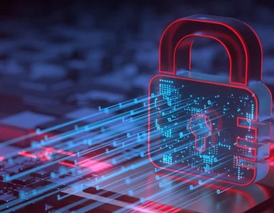 Miniatura: Virtual Data Room Secudo: Nowoczesne...