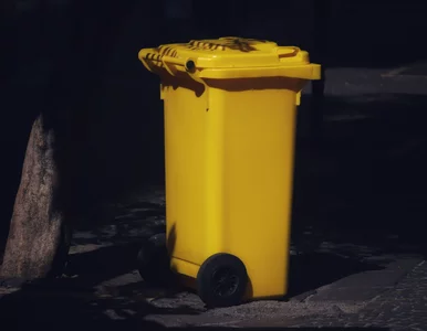 Miniatura: Plastik to plastik? Nic bardziej mylnego –...