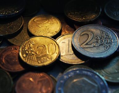 "Euro w Polsce? Pośpiech jest niewskazany"
