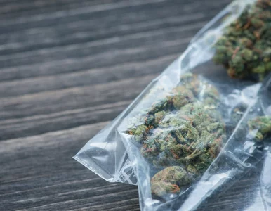 Miniatura: Marihuana w paczkach kurierskich. KAS...